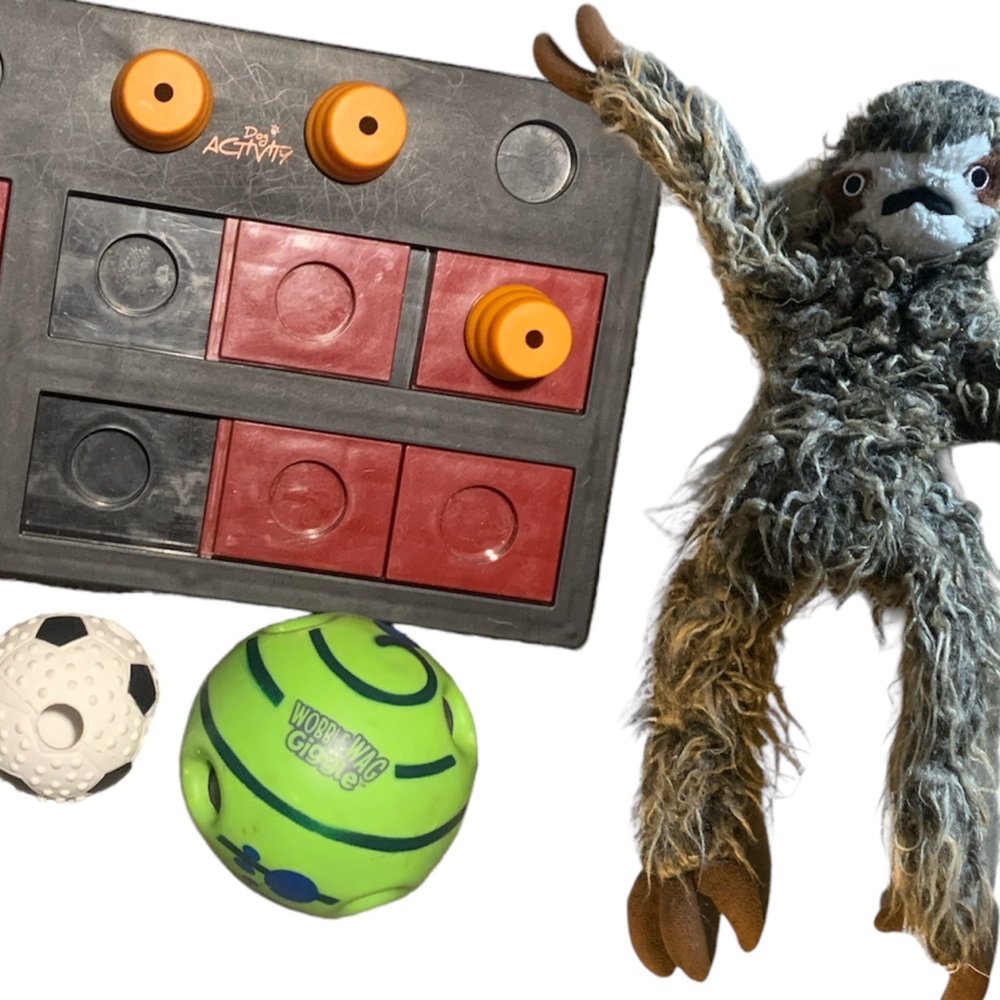 Dog Toys Interactive Puzzle Game Ball